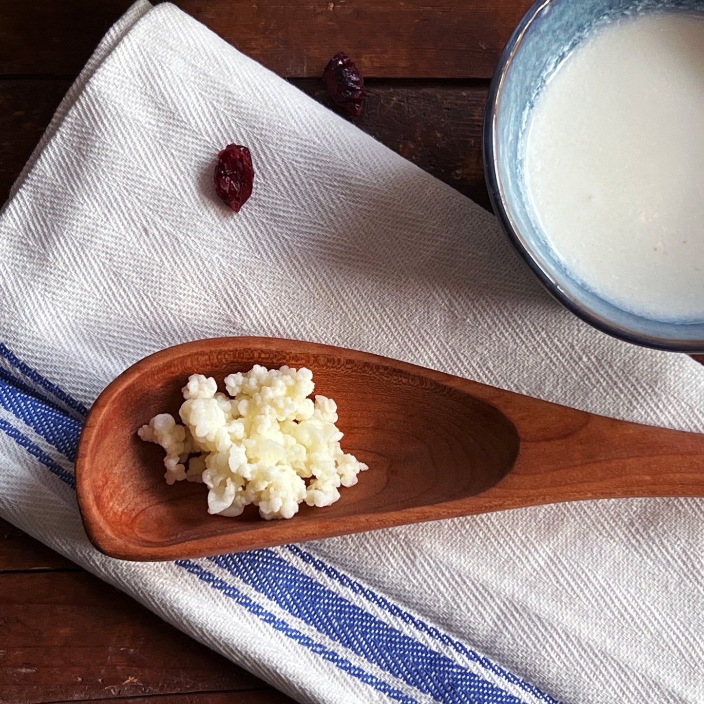 A photo of Mountain Kefir probiotic-rich traditional organic milk kefir grains on a rustic table with fresh kefir in a blue bowl.